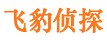 安县飞豹私家侦探公司